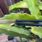 ZippyLucha handles (aka ZLucha) are a set of aftermarket handles for the Kershaw Lucha Balisong (live blade). They lighten the Lucha (3.62 oz), improve the balance for flipping, and introduce the high-performance threadlocker-free Zippy pivot/bearing system.